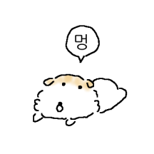 똥그랑지강지