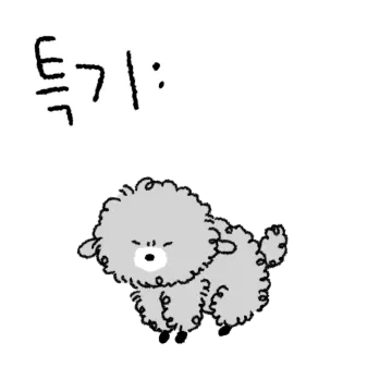 한톨짜리 먼지푸들