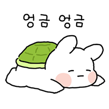 조금 찌글해진 푸루와 배코