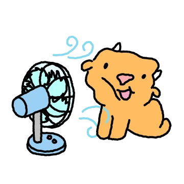 핫썸머 소짱이