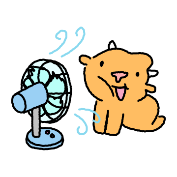 핫썸머 소짱이