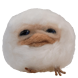 월요병새