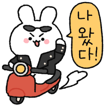 얼굴 작은 토끼씨