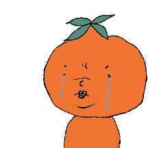 반가워! 홍시청년이야 2