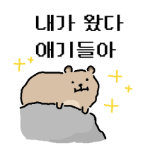 바위너굴쓰 2