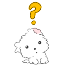 팔랑팔랑 휴지