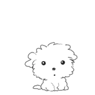 팔랑팔랑 휴지
