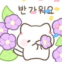 보들보들 상냥한 고양이