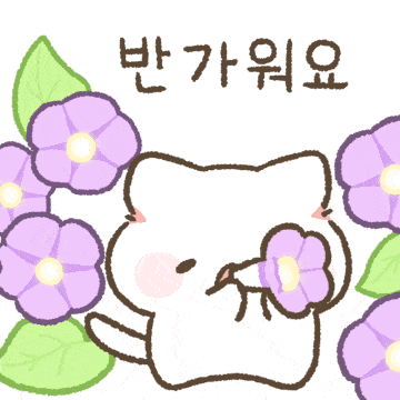 보들보들 상냥한 고양이