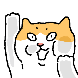 들냥이