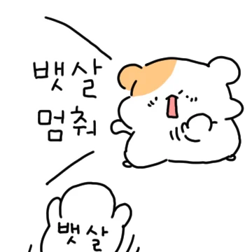 N년째 입다이어터