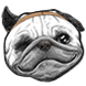 뚱퍼기