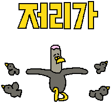 아.. 제가 대머리 비둘기입니다만..