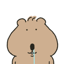 잔잔바리 쿽카 일상