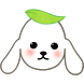 다루의 날들