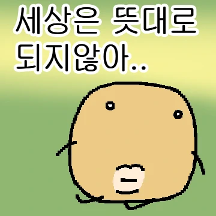 B급 감자