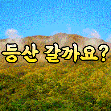 한국의 산 정상에서 소리치자
