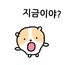 아모것도 아닌 아모햄 2
