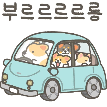 코기티콘 4