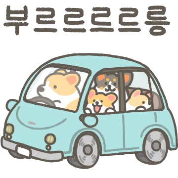 코기티콘 4