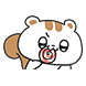 다람쥐 다꿍