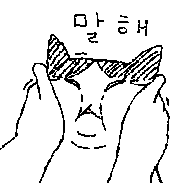 고양이짤 찌글찌글