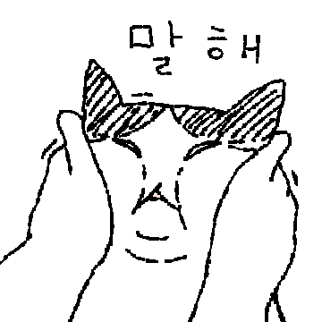 고양이짤 찌글찌글
