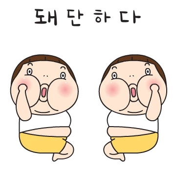 돼단한 요하