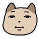 눕방 고양이
