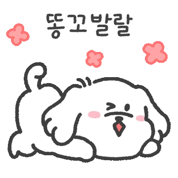 말티즈 뽀송이는 뽀송뽀송해