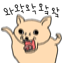 왁왁 치와와