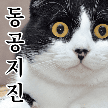 고양이 말말말