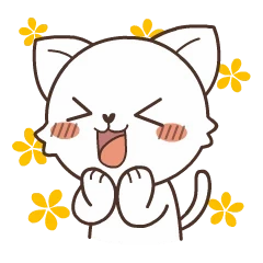 애교만땅! 귀요미 고양이 미오