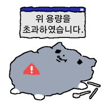 흰양말 고양이 4