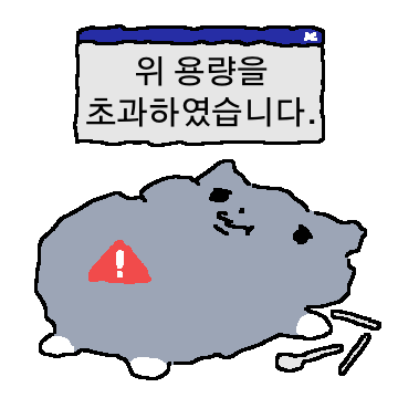 흰양말 고양이 4