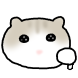 억까 고양이