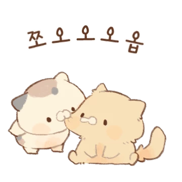 냥이들의 쓰담쓰담 러브 스토리 3