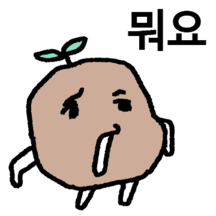 감자에 싹이나서 잎이나서 어쩌라구요 7