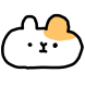 둥치
