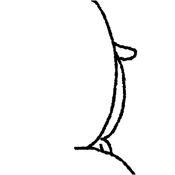 전 그냥 짤티즈라구요