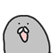 물개에옹옹옹