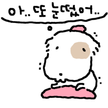 눈멍 가나지 부시리