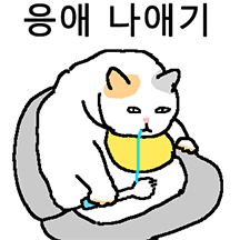 아니, 이 고양이가 왜 이래? 4