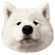 모카우유