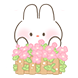 꽃동물들
