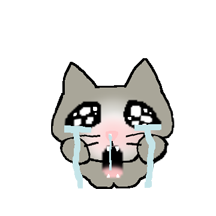 부스러기 고먐미 ㅠㅠㅠ