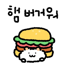 찌글찌글햄
