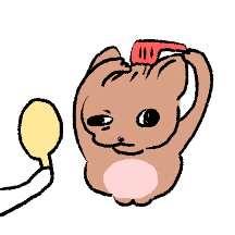 그저 치와와