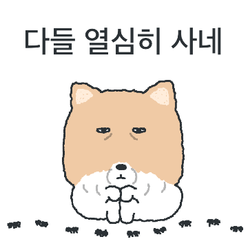 누가 봐도 티벳여우