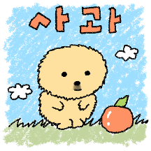 아기수달 수달콤
